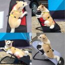 (주)베스트무역 이미지