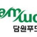 담원