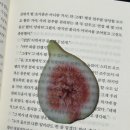 대도음악사 이미지