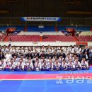 용인대한빛태권도 이미지