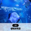 색연필로 그리는 진천의 생태 | 시흥 해양생태과학관 예약 오픈 예약 방법 입장료 주차 아이랑 후기