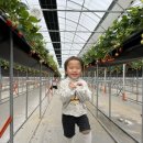 준이농장1 이미지