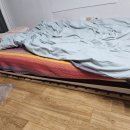 2톤 용달 이사, 포장이사 비용 아끼려다 죽을뻔한 후기(짐싸 백운기 기사님)