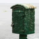 라호야(LA JOLLA) 이미지