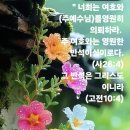 " 반석되신 주 예수님." 이미지