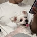 (주)말티 이미지