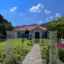 타샤의 숲속 이미지