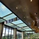 제주힐리조트 | [제주] 엠버퓨어힐 호텔&amp;리조트 제주, 자쿠지 있는 신관 힐 파인 더블 객실 투숙 후기