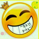 오늘도웃자 Daum카페