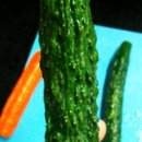 ＜10주＞Potato Salad (퍼테이토 샐러드) 이미지