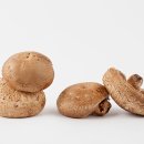 다양한 버섯을 활용한 건강한 요리 이미지