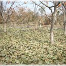 경자네 농장 이미지