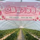 남일로(남후면) 이미지