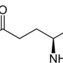 피트니스 Q 이미지