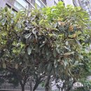 중로3-123 이미지