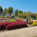 순천만국가정원 이미지