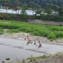 수하리 캠핑파크 이미지