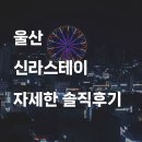 울산스테이 티스토리