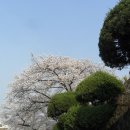 영복여자고등학교 이미지