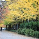 구지공원 이미지