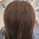 HAIR 덕분愛
