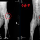 신안동물병원 이미지