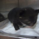 서3치안센터 이미지