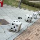 뽀끼랜드 이미지