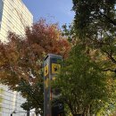 서면금약국 이미지