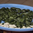 추석엔 송편이쥐 이미지