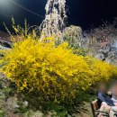 GS더프레시천안점 이미지