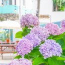 누리네민박 이미지