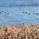 귀하도다 이미지