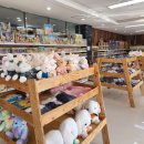 토이캐슬 이미지