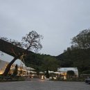 카페파인 이미지