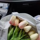 함덕엘피지충전소 이미지