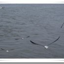 플하우스 이미지