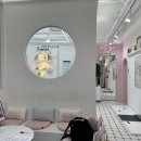 레푸스&아트포레 이미지