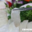 총각수산 네이버블로그