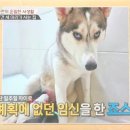죠스베베