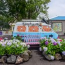 제주, 수국이 아름다운 파더스가든 이미지