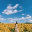 대동국수 동부점 | 10.18 ~ 10.24 일주일간의 기록 (인스타그램일상)