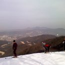 양지파인리조트 이미지