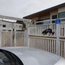 개스트하우스 말2 이미지