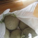 이든컨설턴트