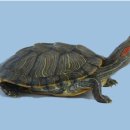 명지바른 신경외과의원 이미지