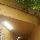 대공농장 이미지