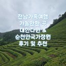 대한다원 | 1박2일 부모님과 가족여행 전남 가볼만한 곳 보성 대한다원과 순천만 국가정원 후기 및 추천