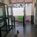 개폼나개 이미지