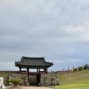 Dog 앤 Story 이미지